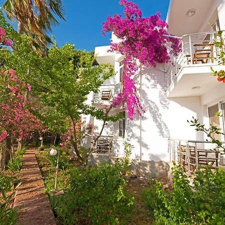 Chillos Hotel 3*